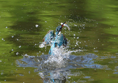 水飛沫　５/１❷