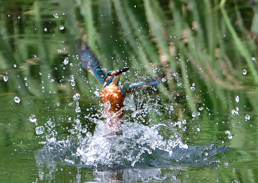 いつもの公園で　９/２４❼