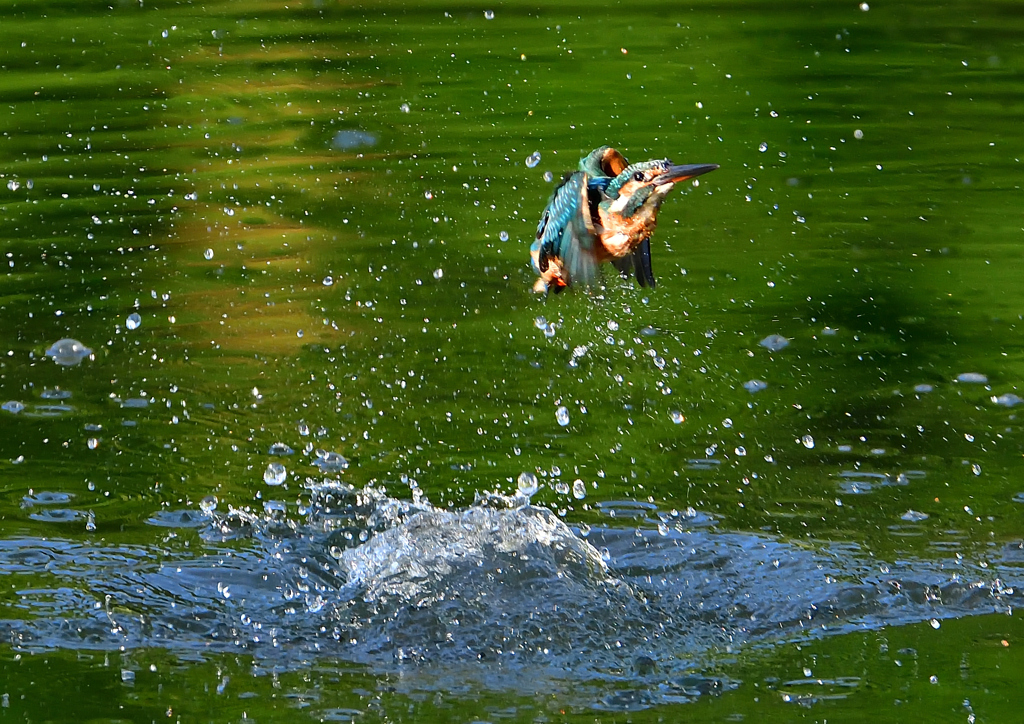 いつもの公園で　８/１４❾