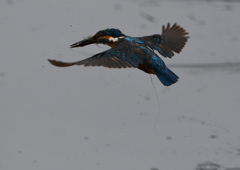 飛ぶ　７/１８❷