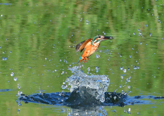 水飛沫　８/１０❷