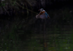 ホバリング　６/２❷