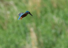 ホバリング　５/７❶