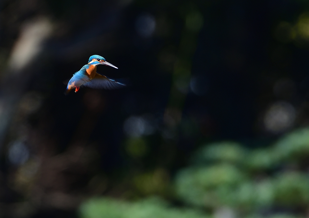 ホバる　３/２５❶