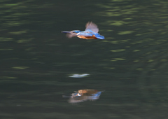 飛翔　7/２３❶