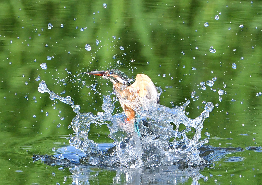 水飛沫　８/１０❻