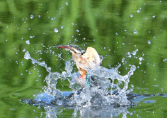 水飛沫　８/１０❻