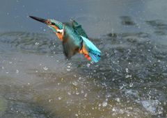 ダイブ　５/１０❻