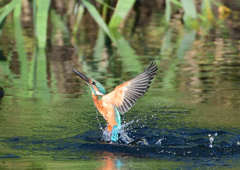 _191009_071318 DSC_8904