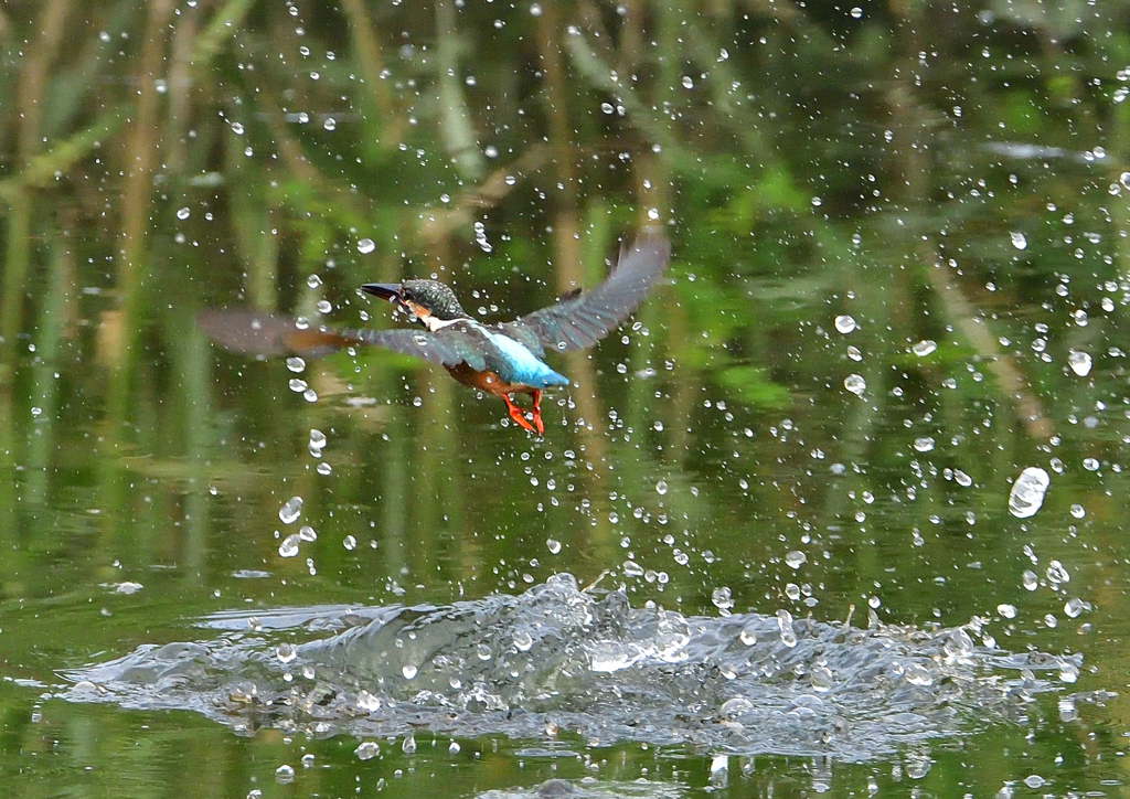 水飛沫　８/６❶