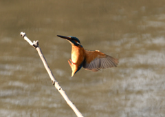 _190125_101540 DSC_6373