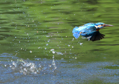 水飛沫　５/１４❺