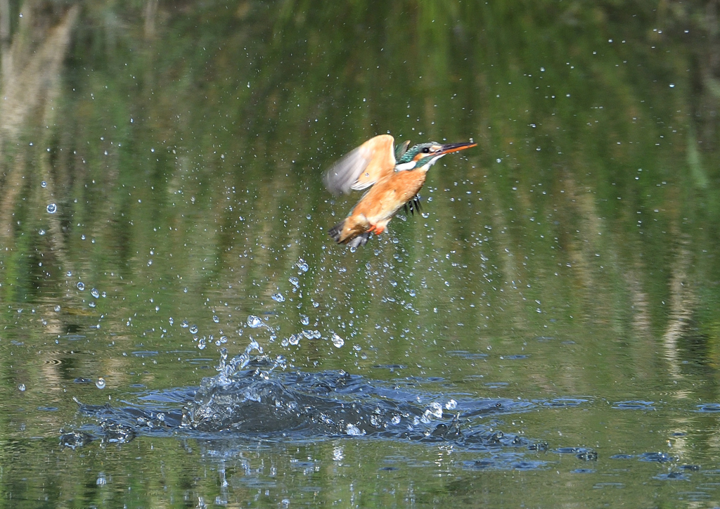 ダイブ　５/６❹