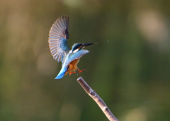 いつもの公園で　１０/７❸