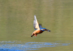 いつもの公園で　１０/２７❽