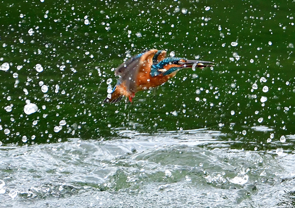 いつもの公園で　９/１９❶