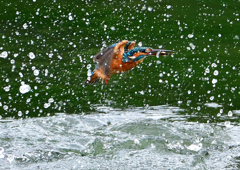 いつもの公園で　９/１９❶