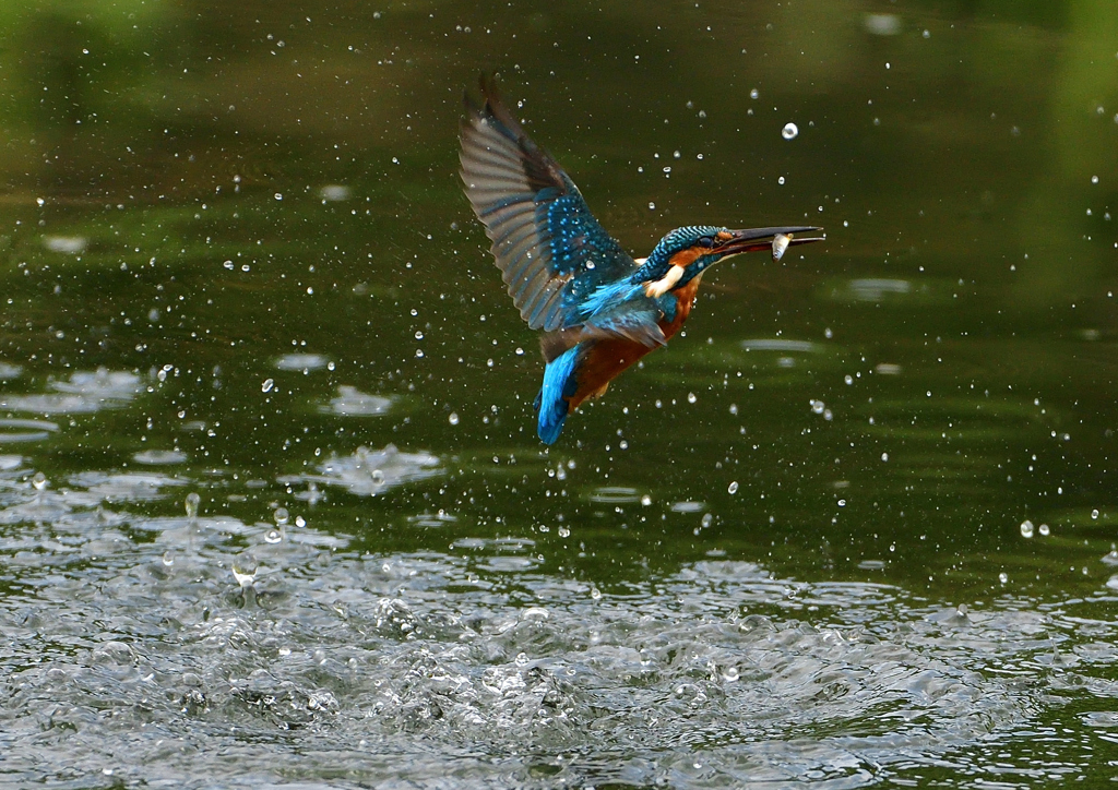 いつもの公園で　１０/２❸