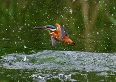 いつもの公園で　９/１６❻