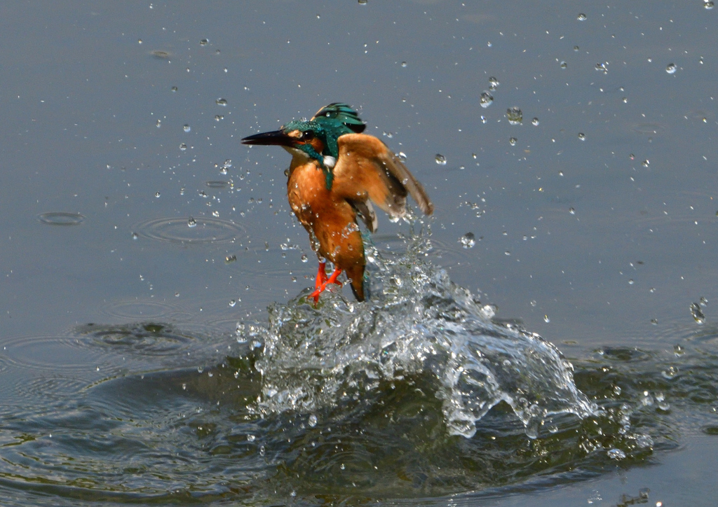 ダイブ　５/２２❺