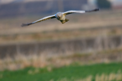 _190301_171408 DSC_3756