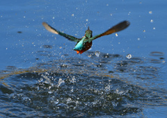 水飛沫　１２/３