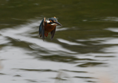 ホバ、ホバる❶