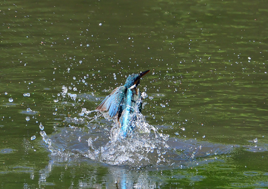 水飛沫　５/１１❶