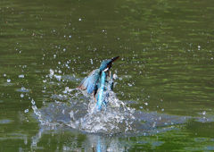 水飛沫　５/１１❶