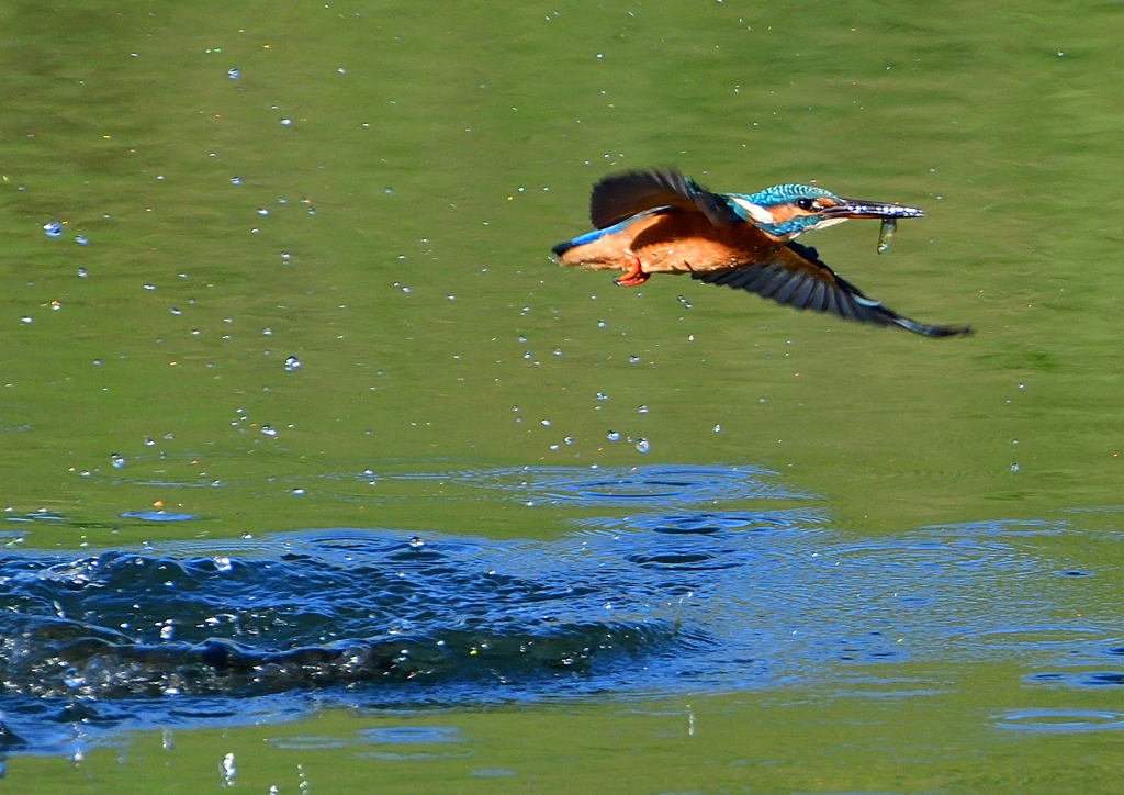 ダイブ　９/２８❷