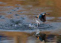 いつもの公園で　1／5❻