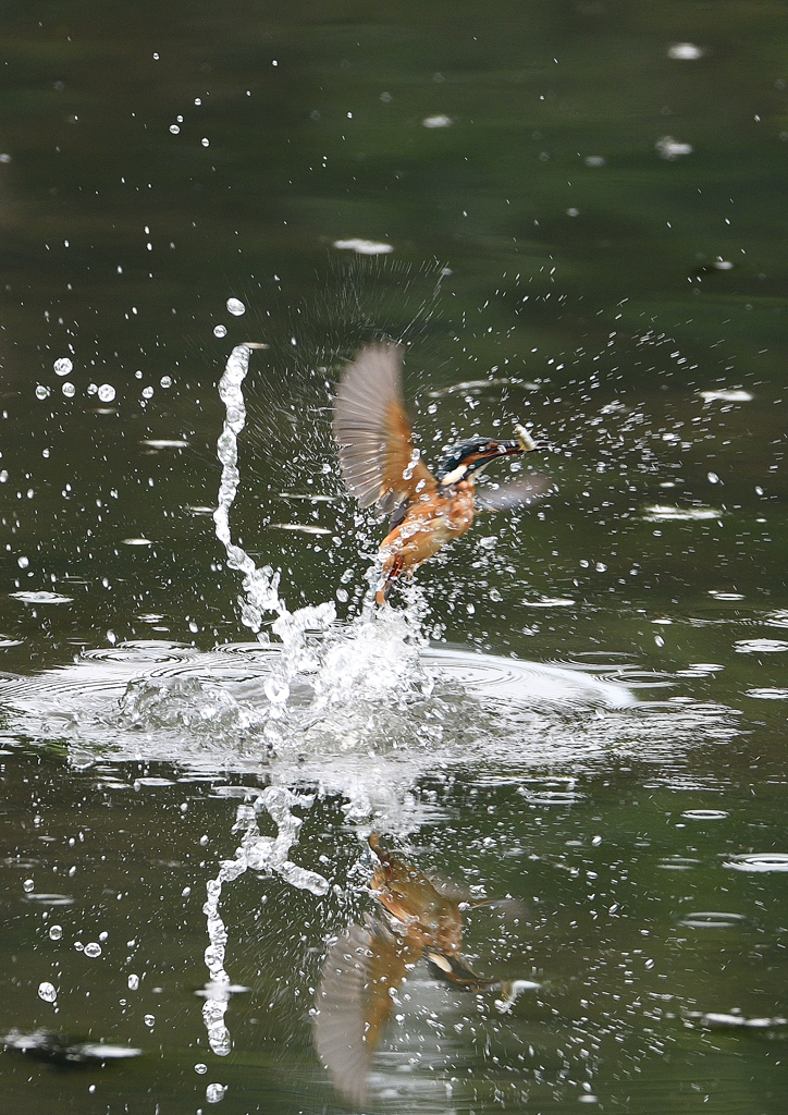 水飛沫　８/２９❷