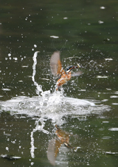 水飛沫　８/２９❷