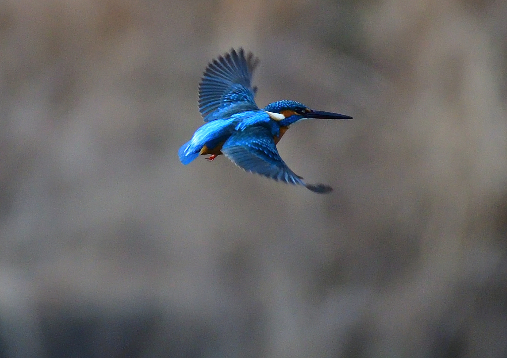 いつもの公園で　1／5❷
