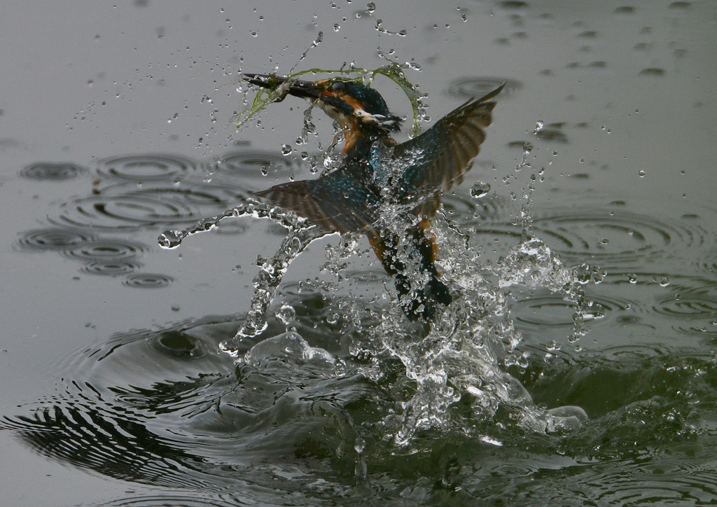 ダイブ　７/１８❹