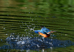 いつもの公園で　１０/１４❸