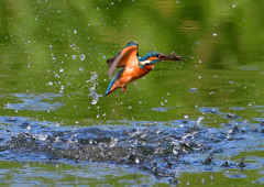 いつもの公園で　９/１２❸