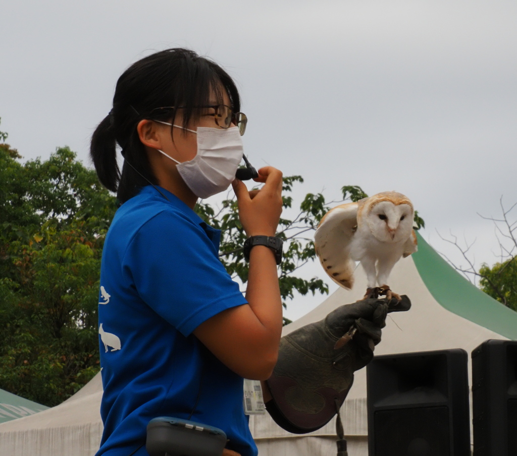 猛禽フライトショー　１０/３❶