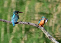 オス＆メス　５/２２❷