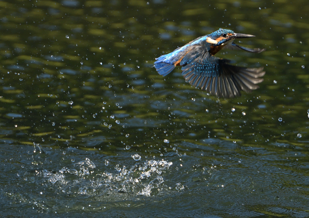 _191009_085132 DSC_9247