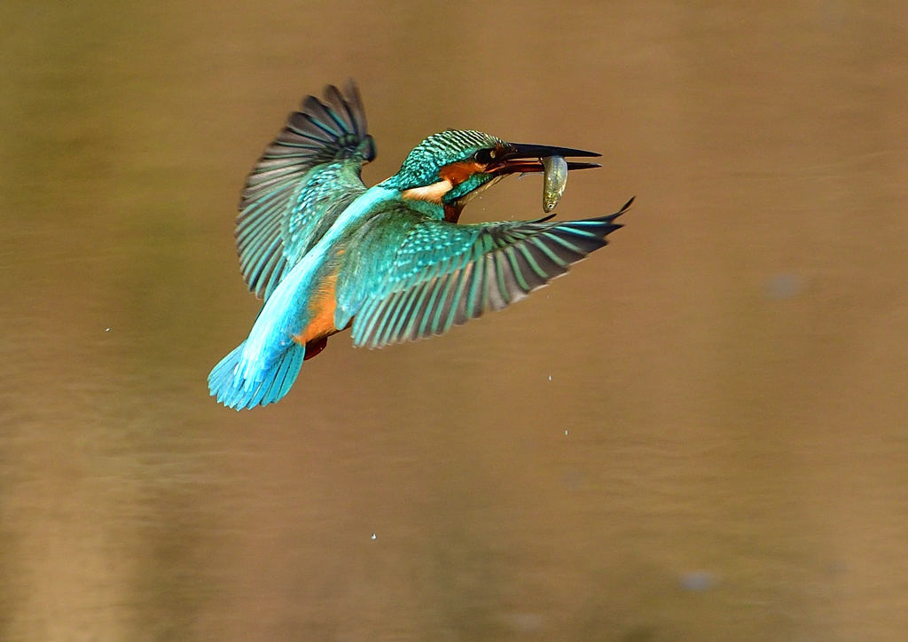 いつもの公園で　１１/１３❸