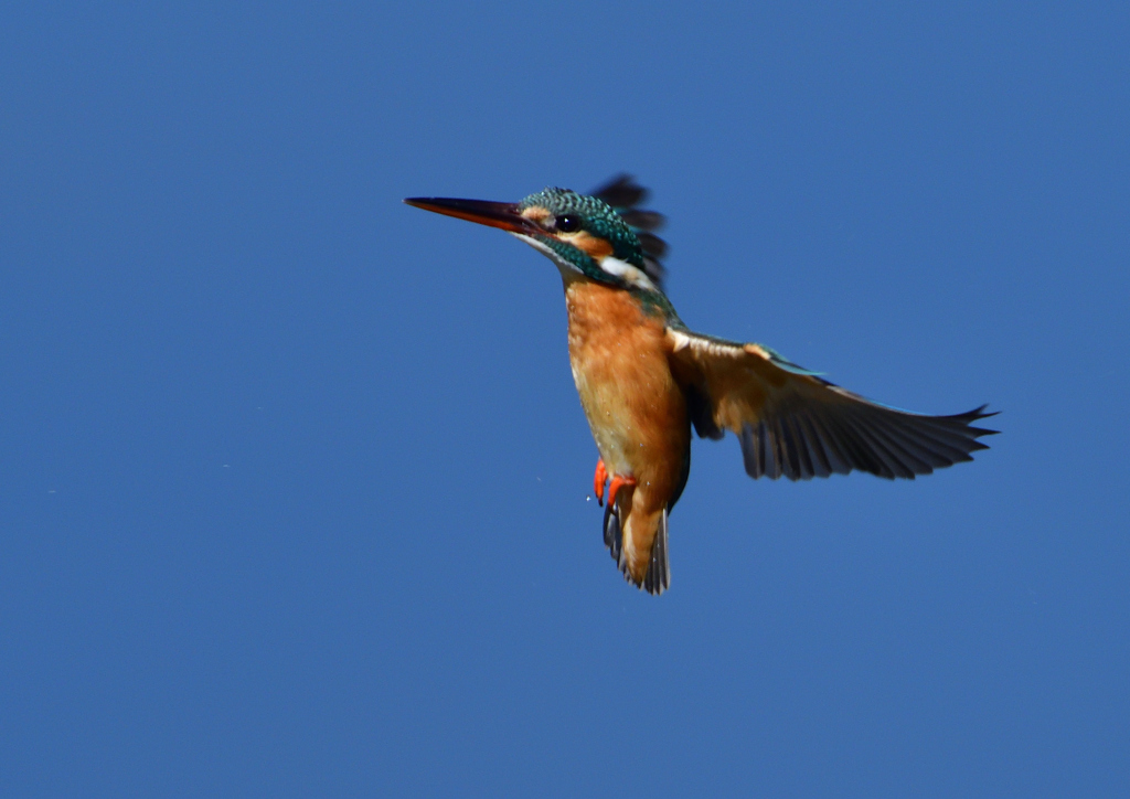 止まり木へ　３/７❸