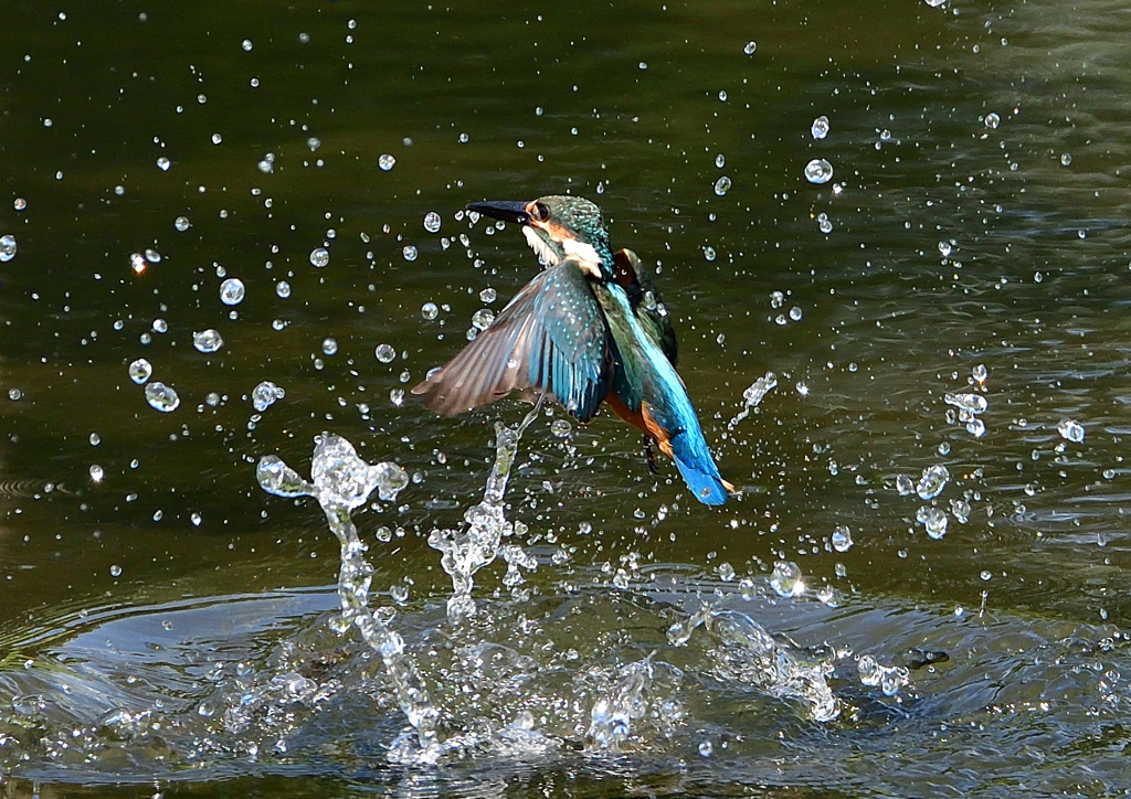 水飛沫　８/１❽