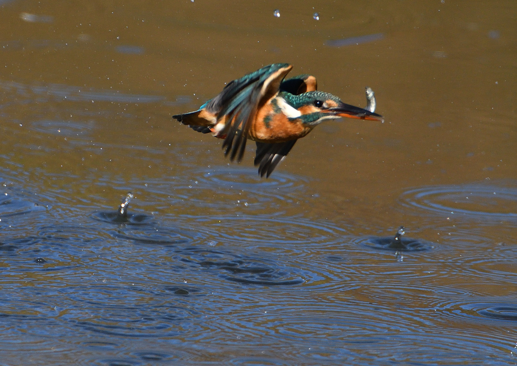 離水から　１１/５　❺