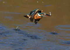 離水から　１１/５　❺