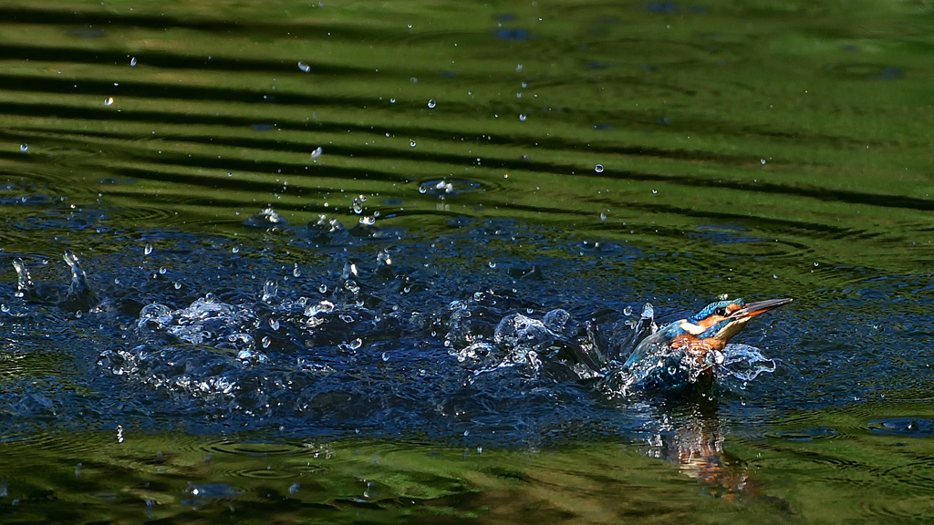 いつもの公園で　１０/１４❹