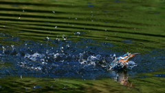 いつもの公園で　１０/１４❹