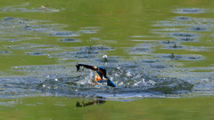 いつもの公園で　９/２４❾