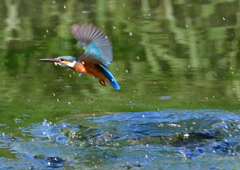 水飛沫　８/１❼