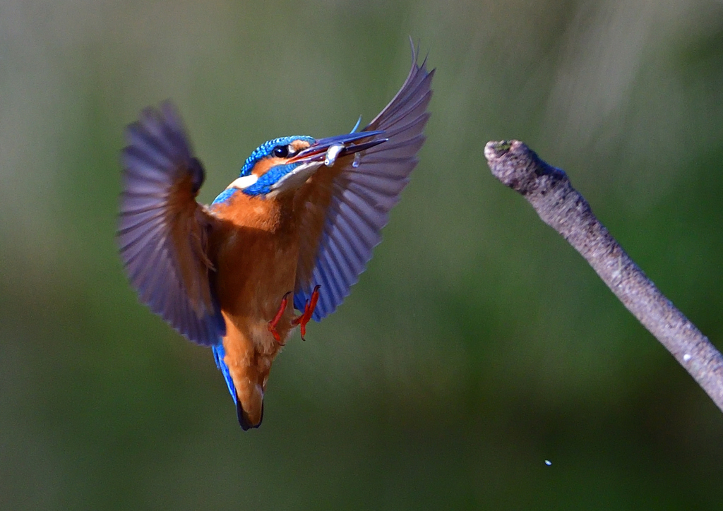 いつもの公園で　１１/３０❻